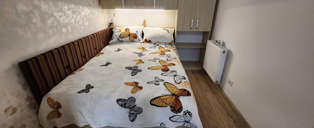 Butterfly Apartment ทิมิชัวรา ภายนอก รูปภาพ