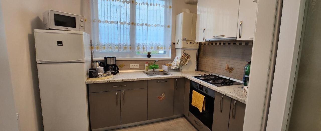 Butterfly Apartment ทิมิชัวรา ภายนอก รูปภาพ