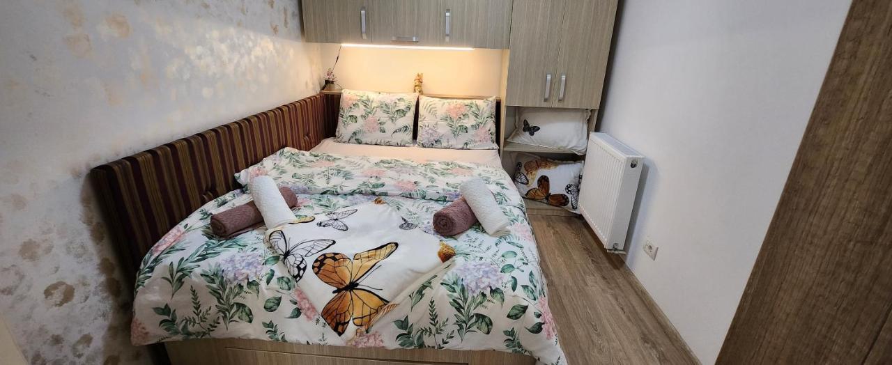 Butterfly Apartment ทิมิชัวรา ภายนอก รูปภาพ