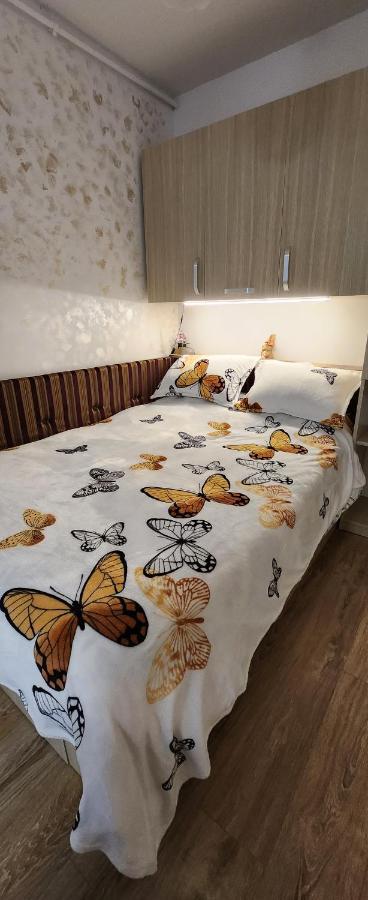 Butterfly Apartment ทิมิชัวรา ภายนอก รูปภาพ