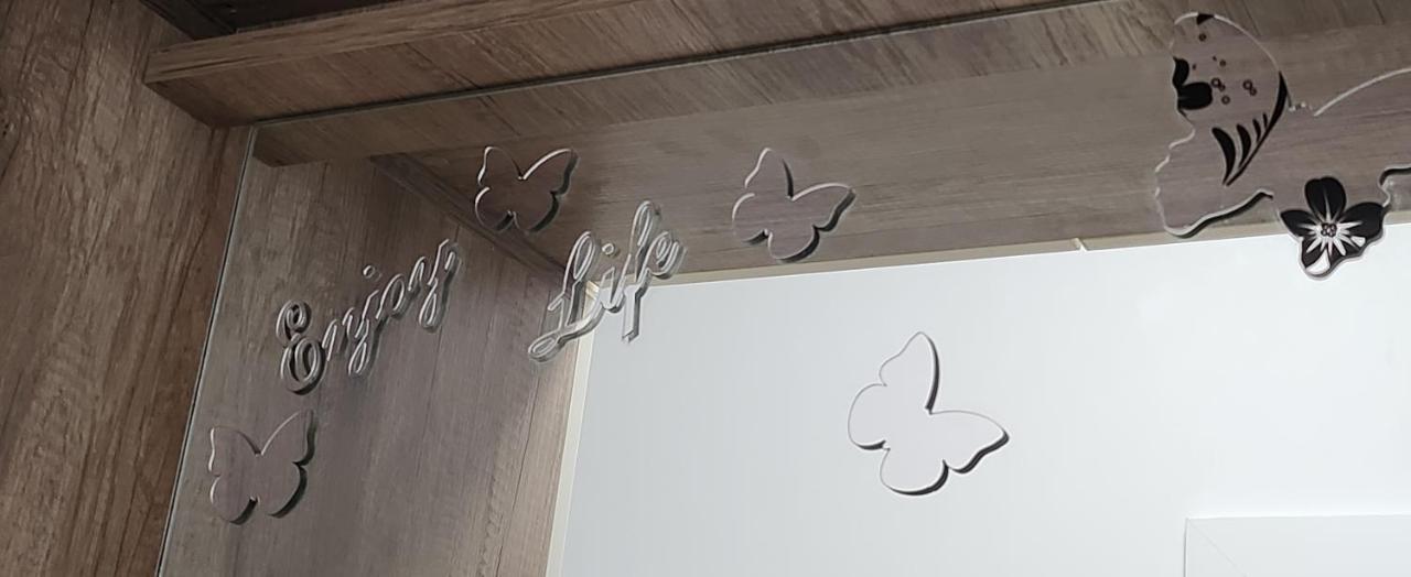 Butterfly Apartment ทิมิชัวรา ภายนอก รูปภาพ